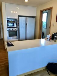 Park Infinia At Wee Nam (D11), Condominium #638244691